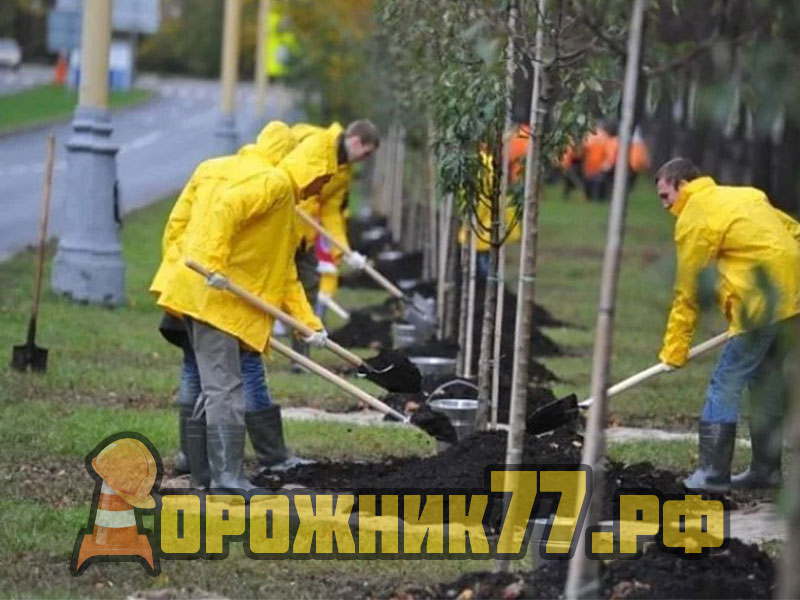 благоустройство-территории-москва13