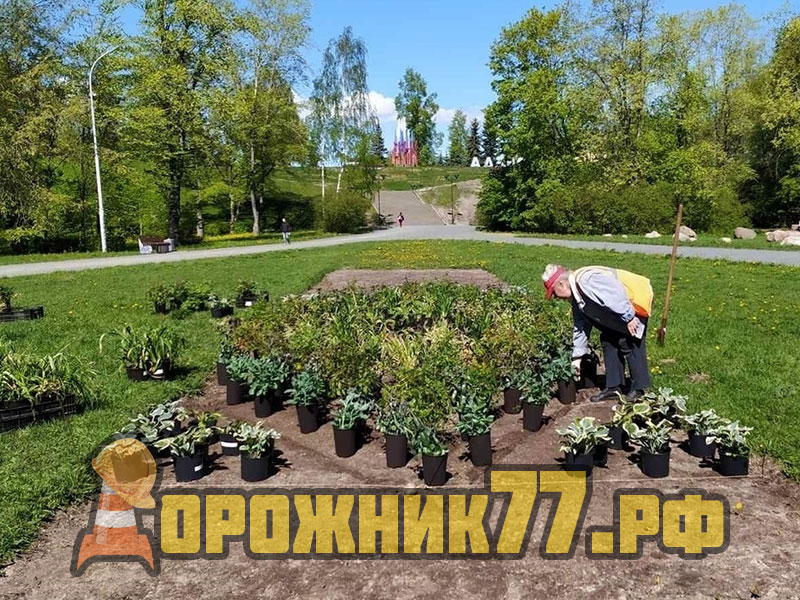озеленение-москвы