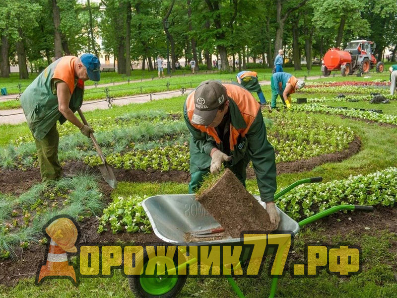 озеленение-москвы6